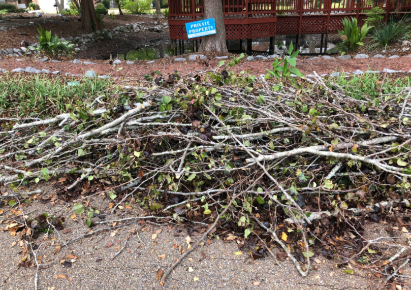 Yard waste is any type of green waste leftover from a landscaping job.