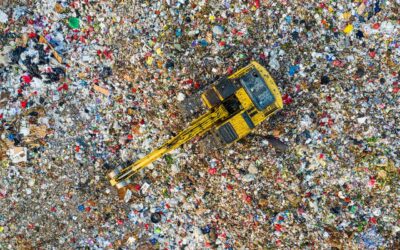 Why Waste Management Matters